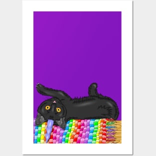 Black Caticorn Posters and Art